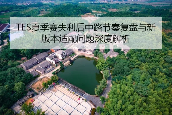 TES夏季赛失利后中路节奏复盘与新版本适配问题深度解析